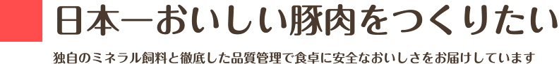のびのびとストレスなく育てる：ゆとりある農場設計とバイオ技術を活かした肥育方法で健康な豚を育て上げています